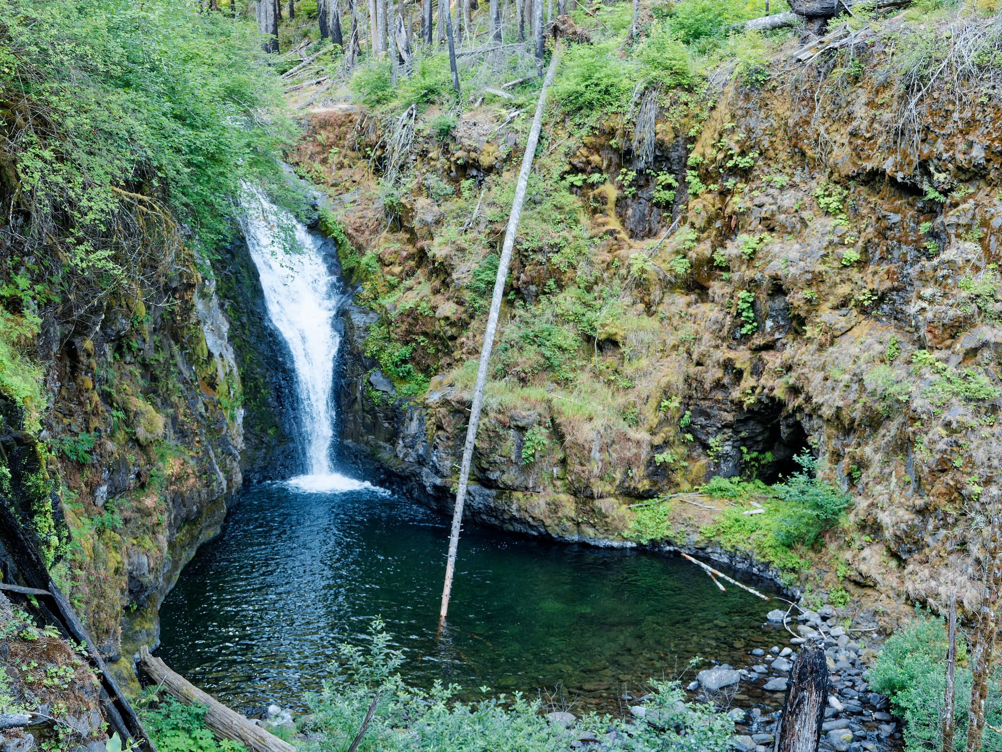 PCT Oregon