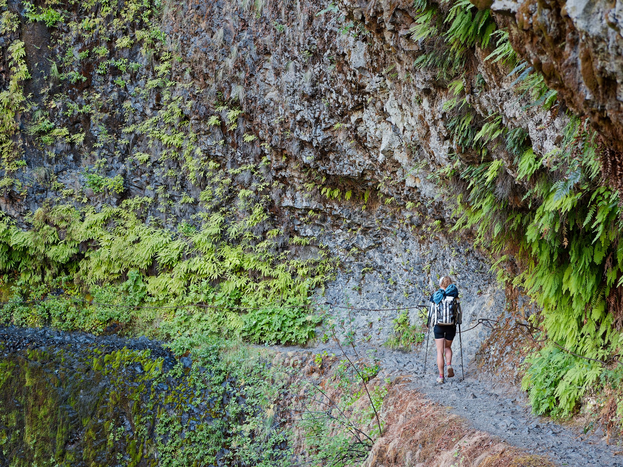 PCT Oregon
