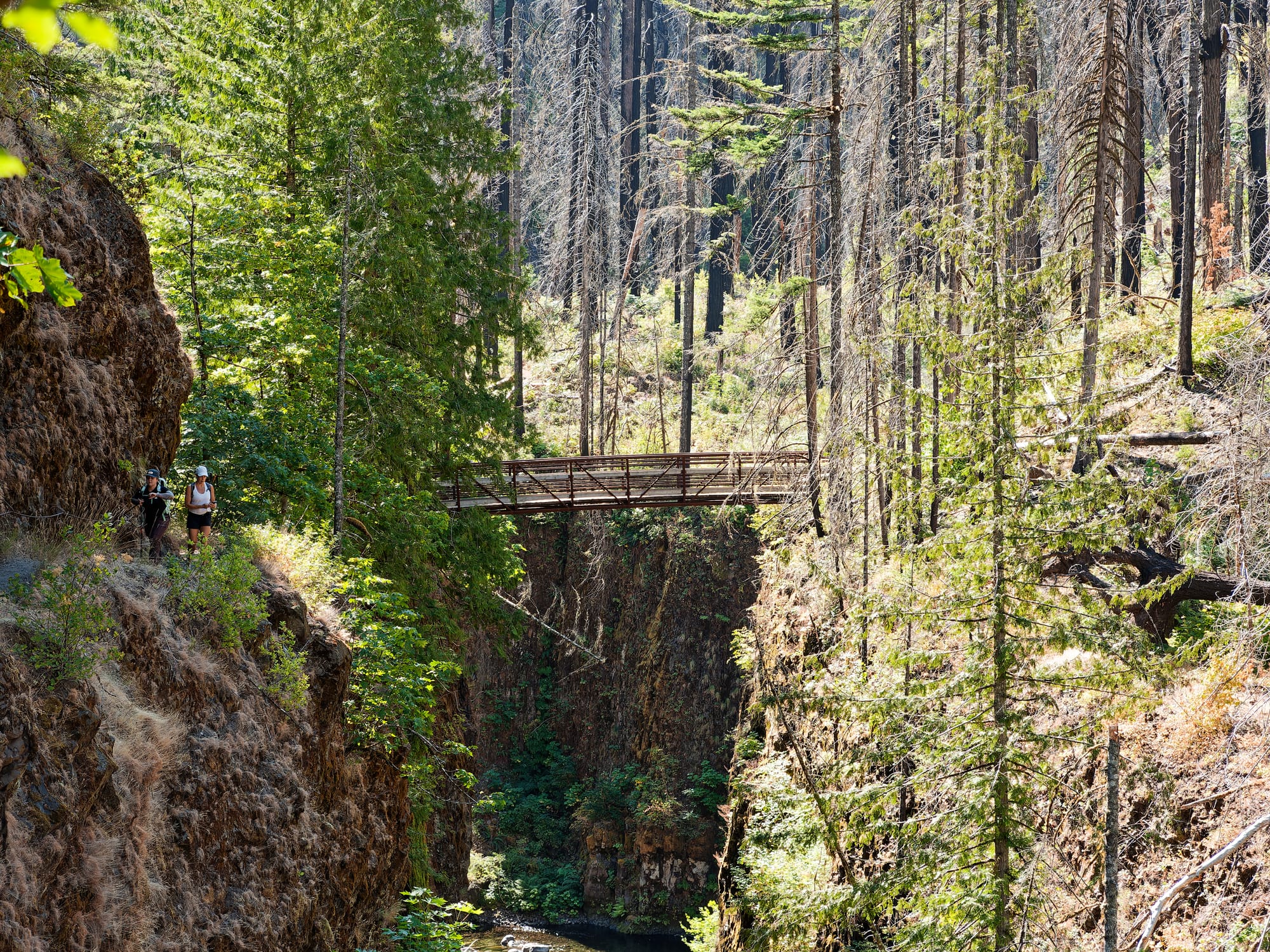 PCT Oregon