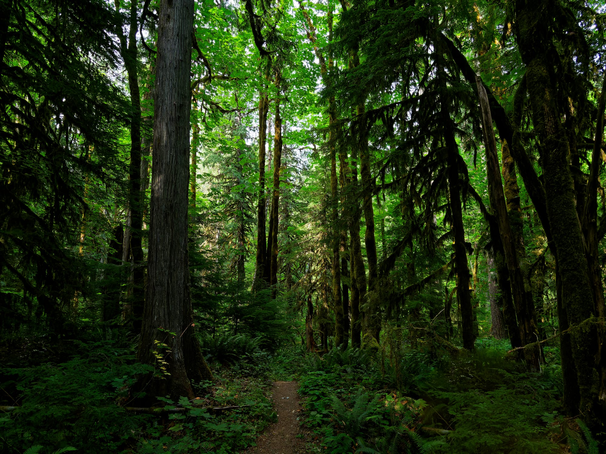 PCT Washington