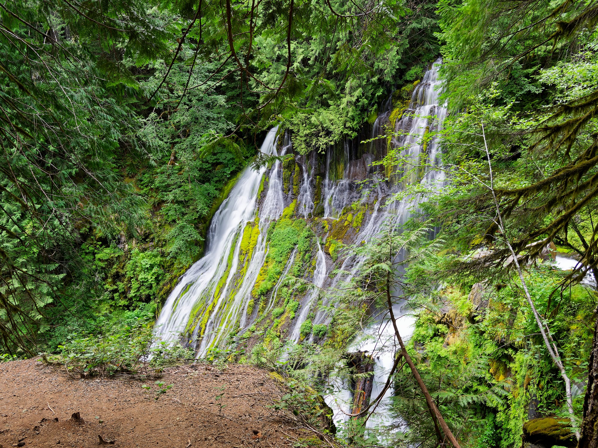 PCT Washington