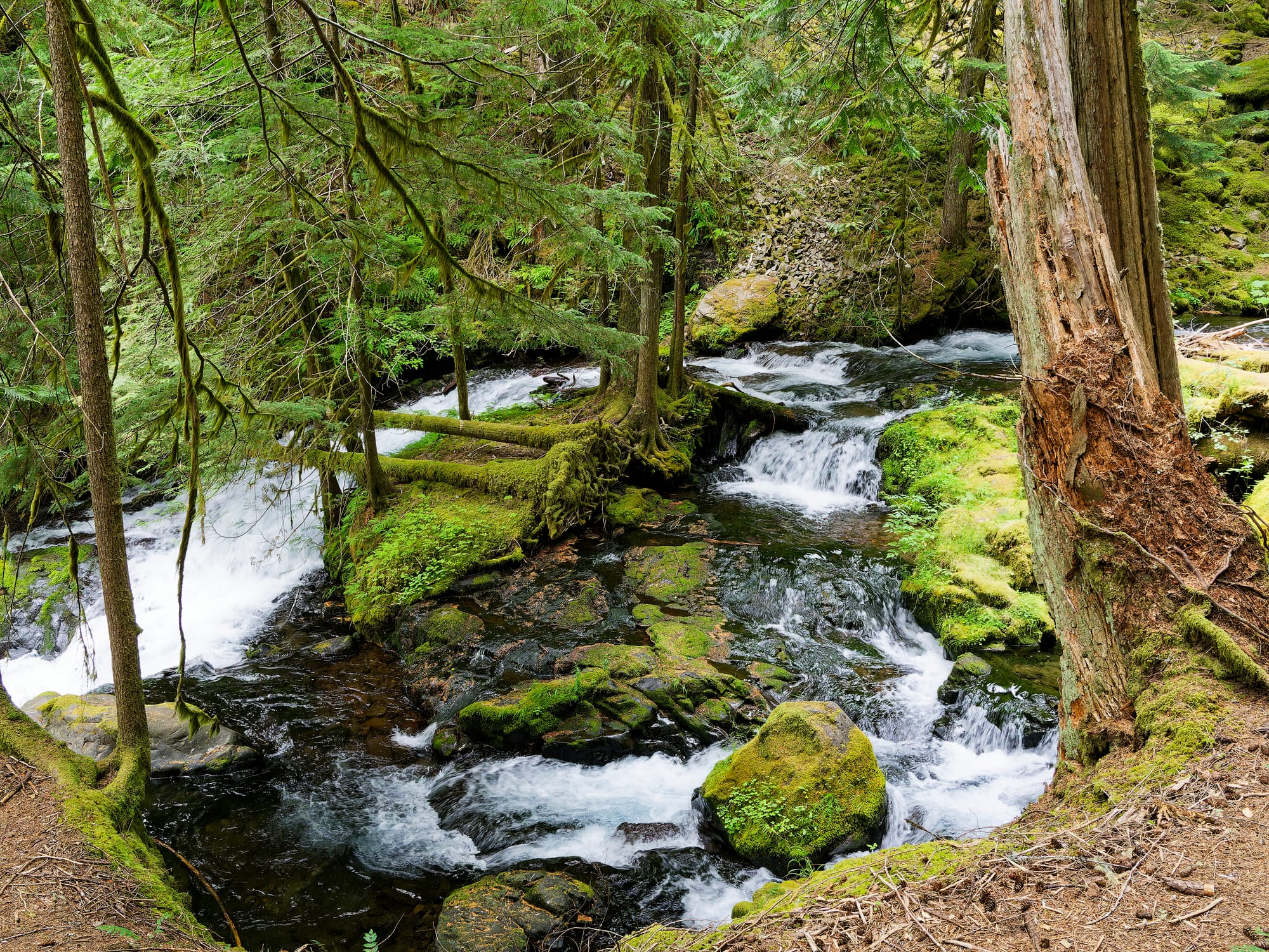 PCT Washington