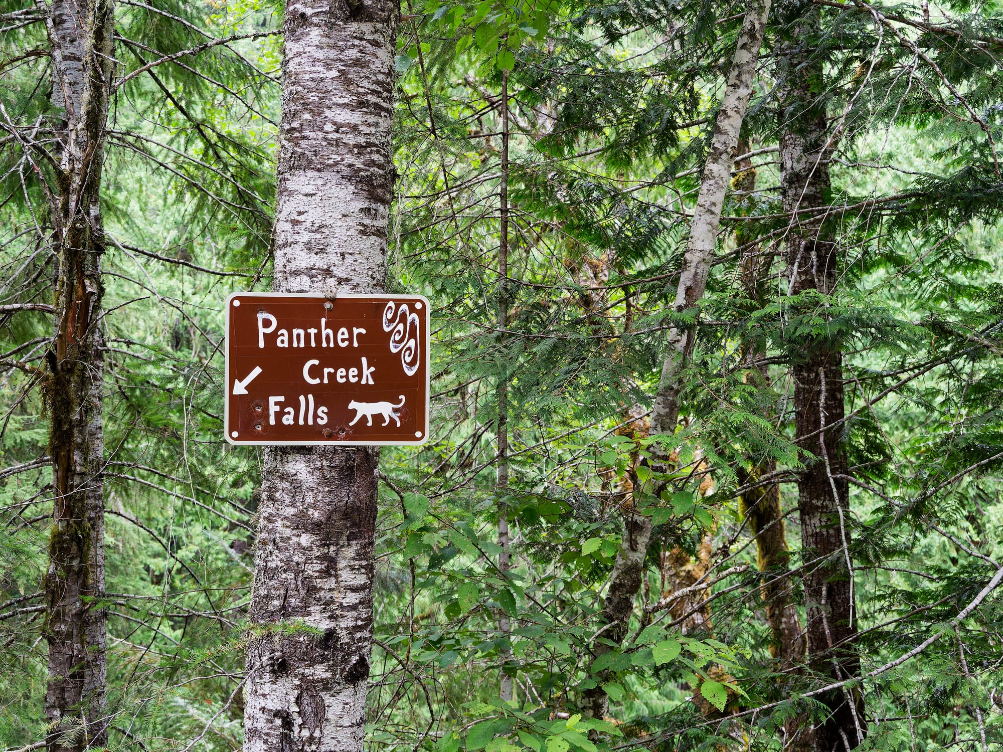 PCT Washington