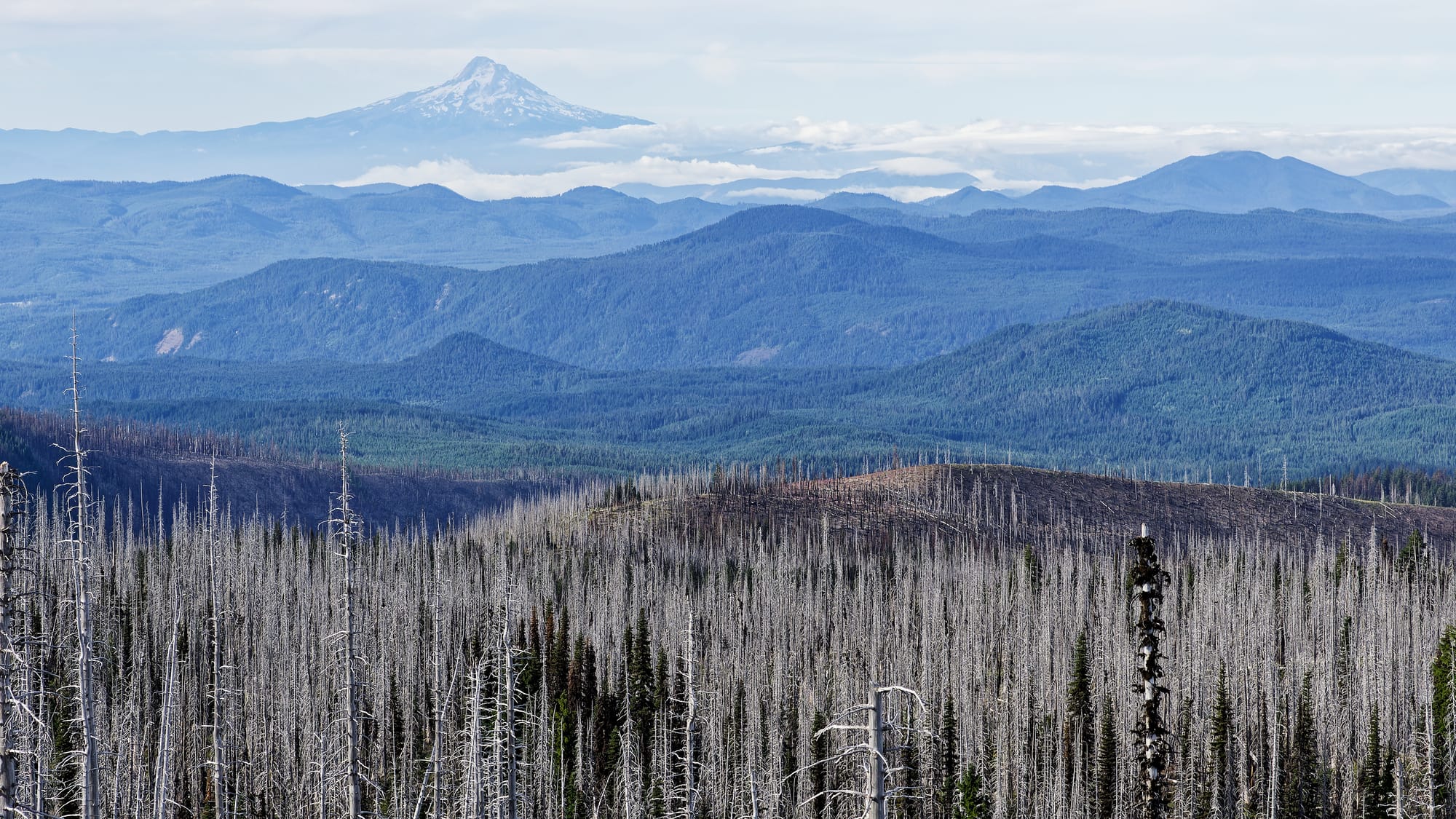 PCT Washington