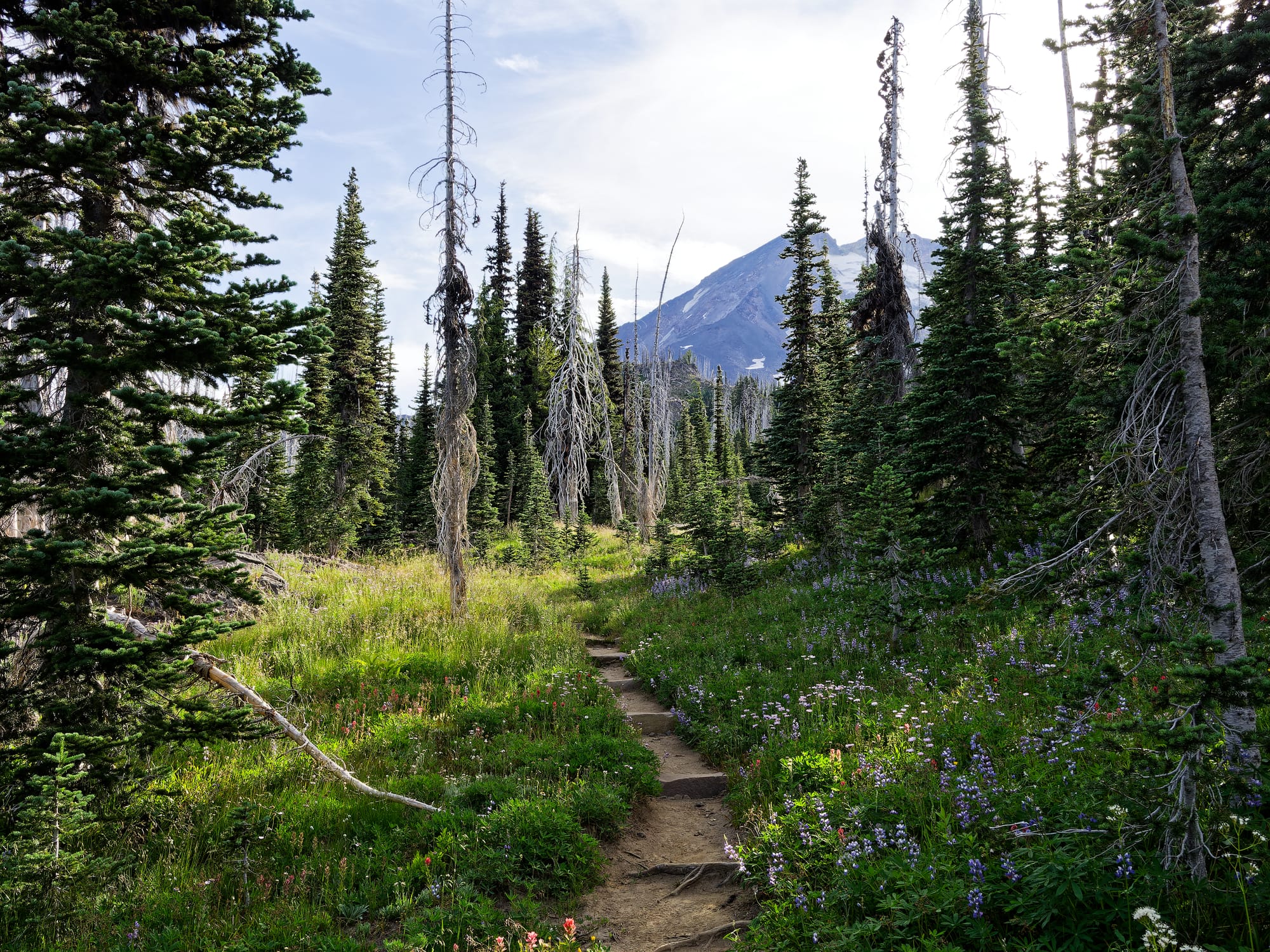 PCT Washington