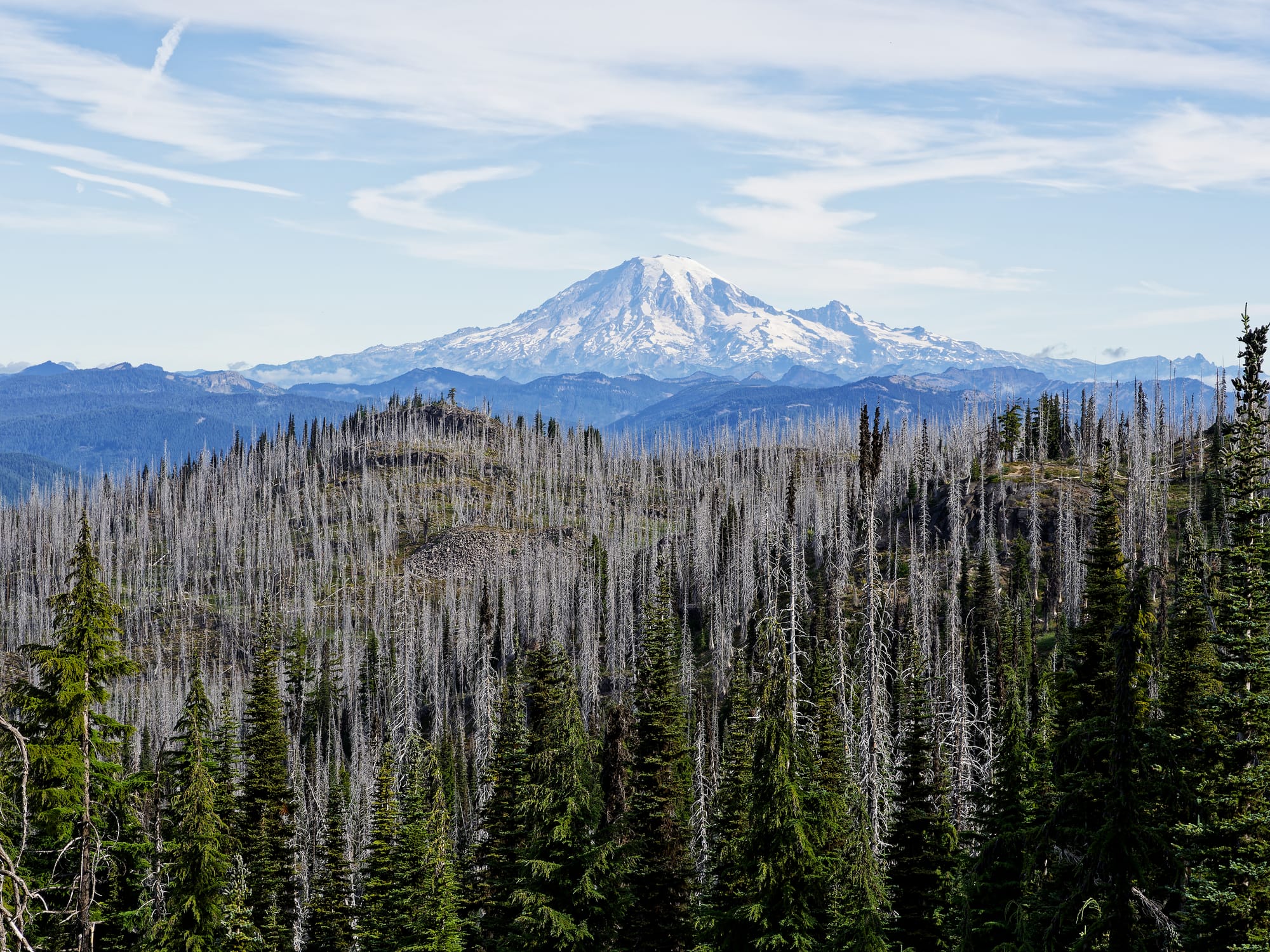 PCT Washington