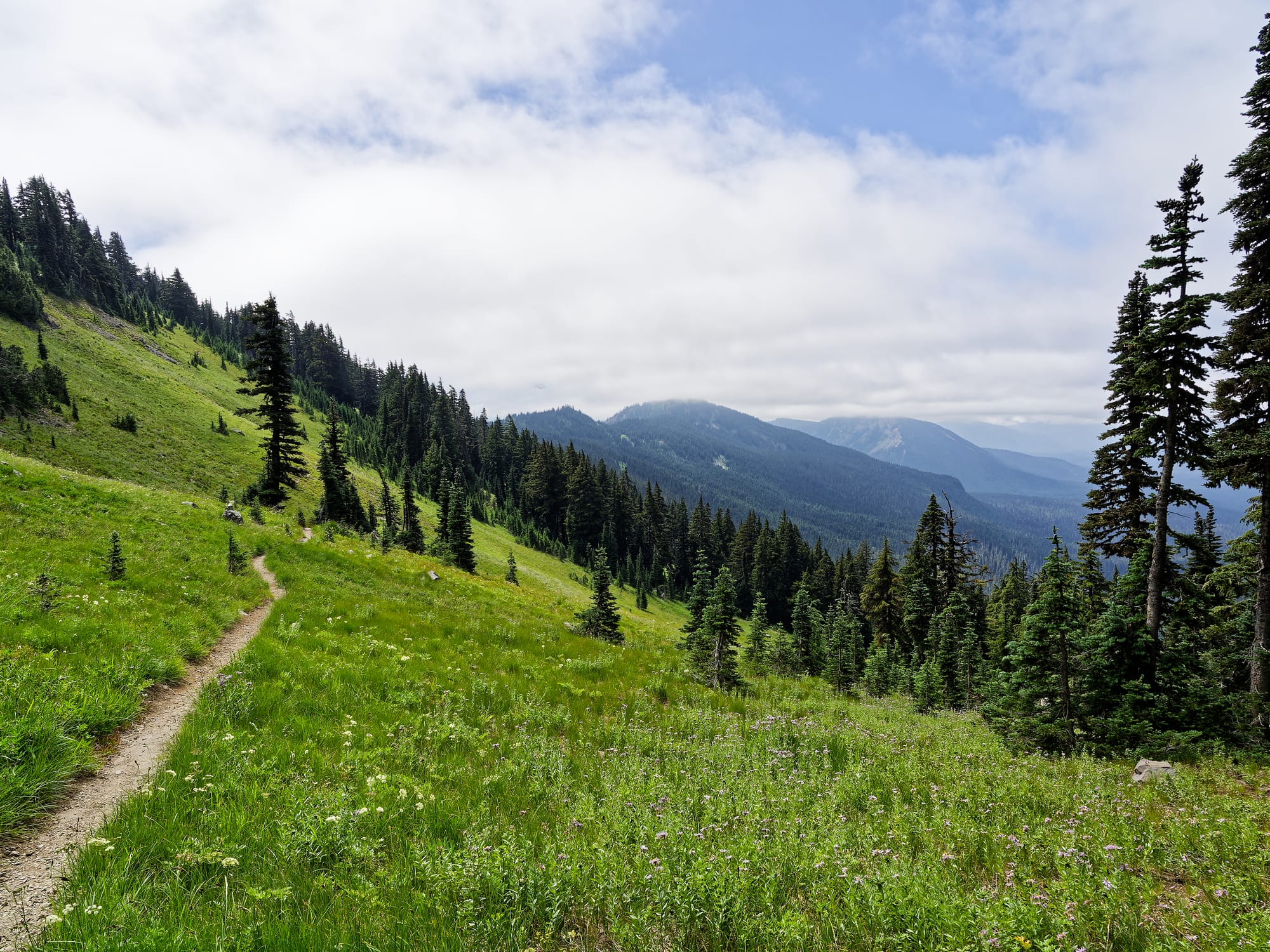 PCT Washington