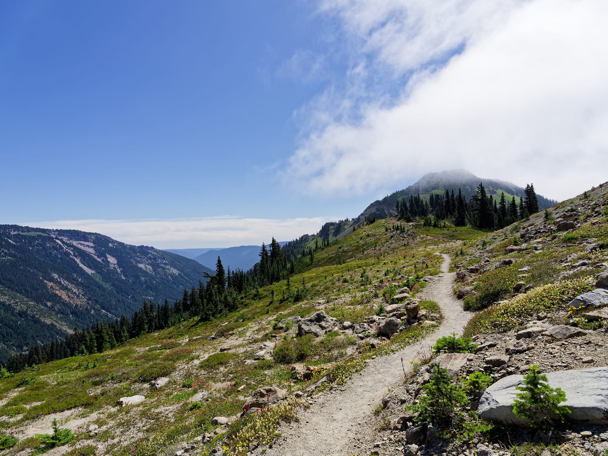 PCT Washington