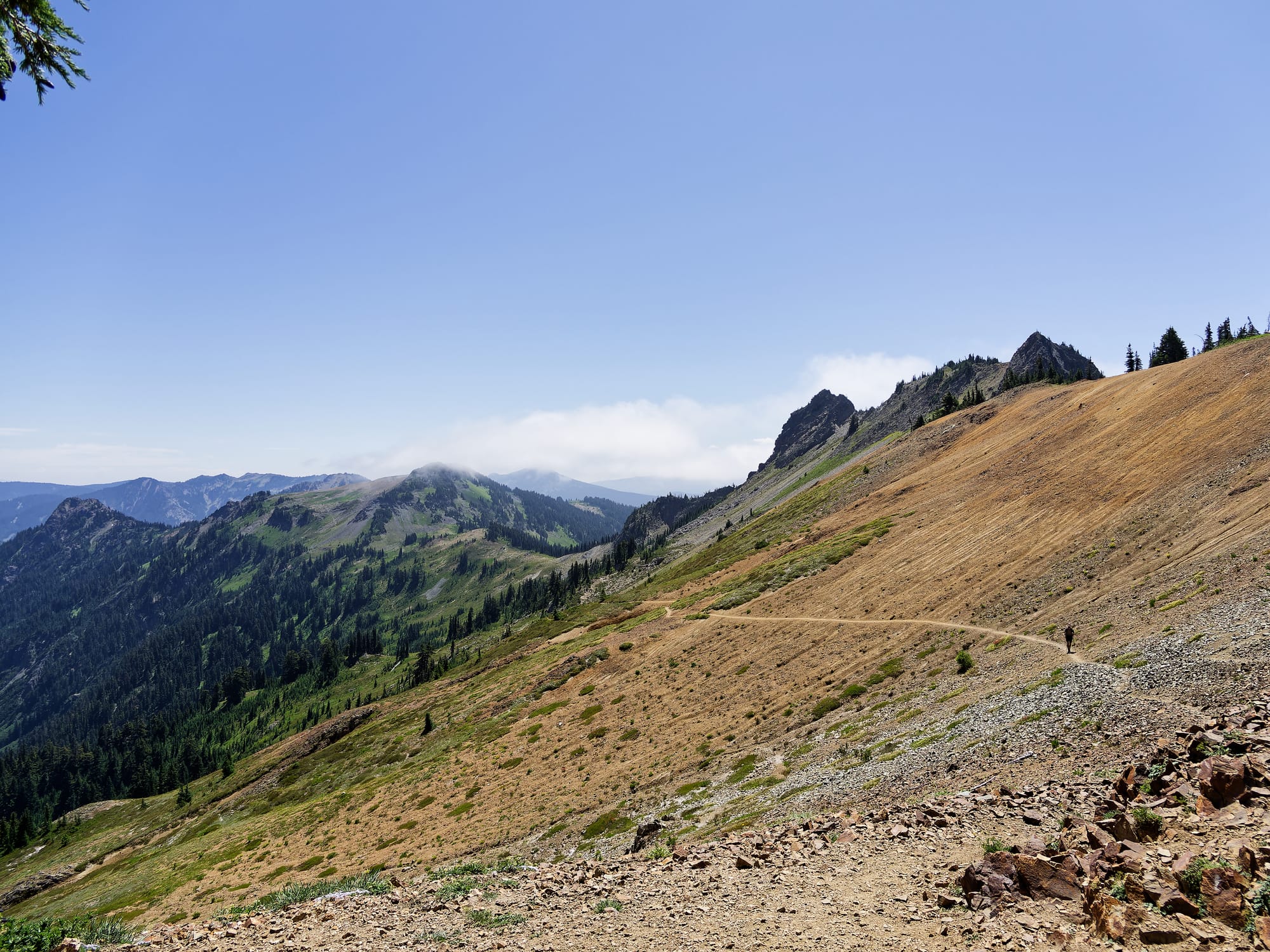 PCT Washington