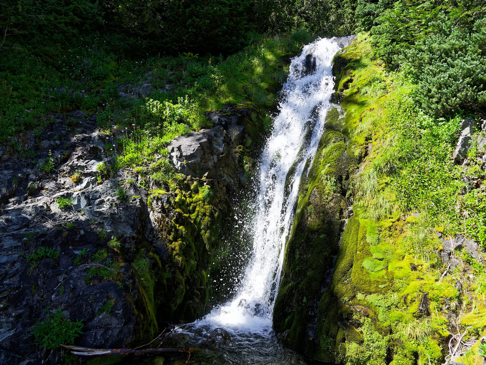PCT Washington