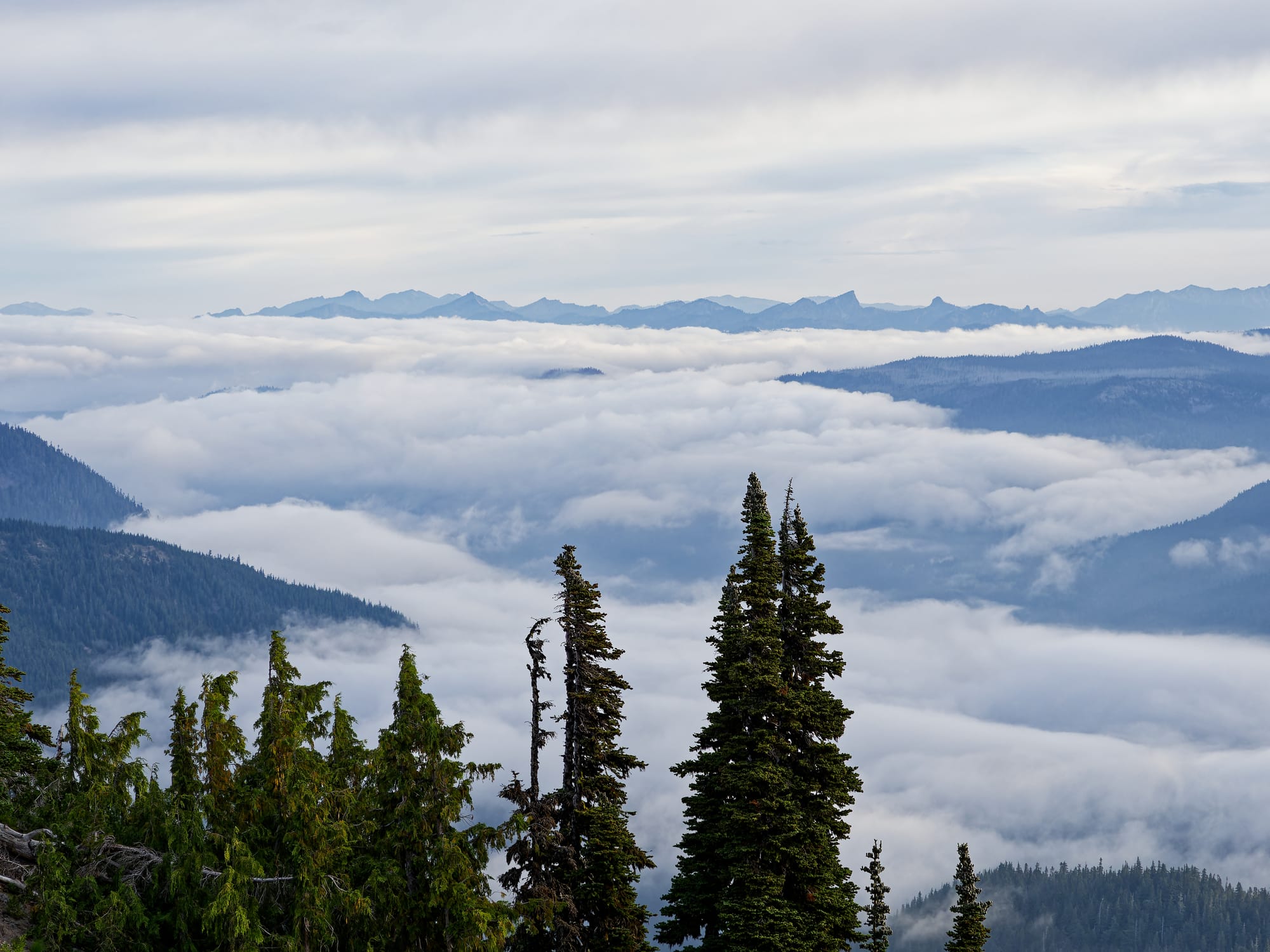PCT Washington