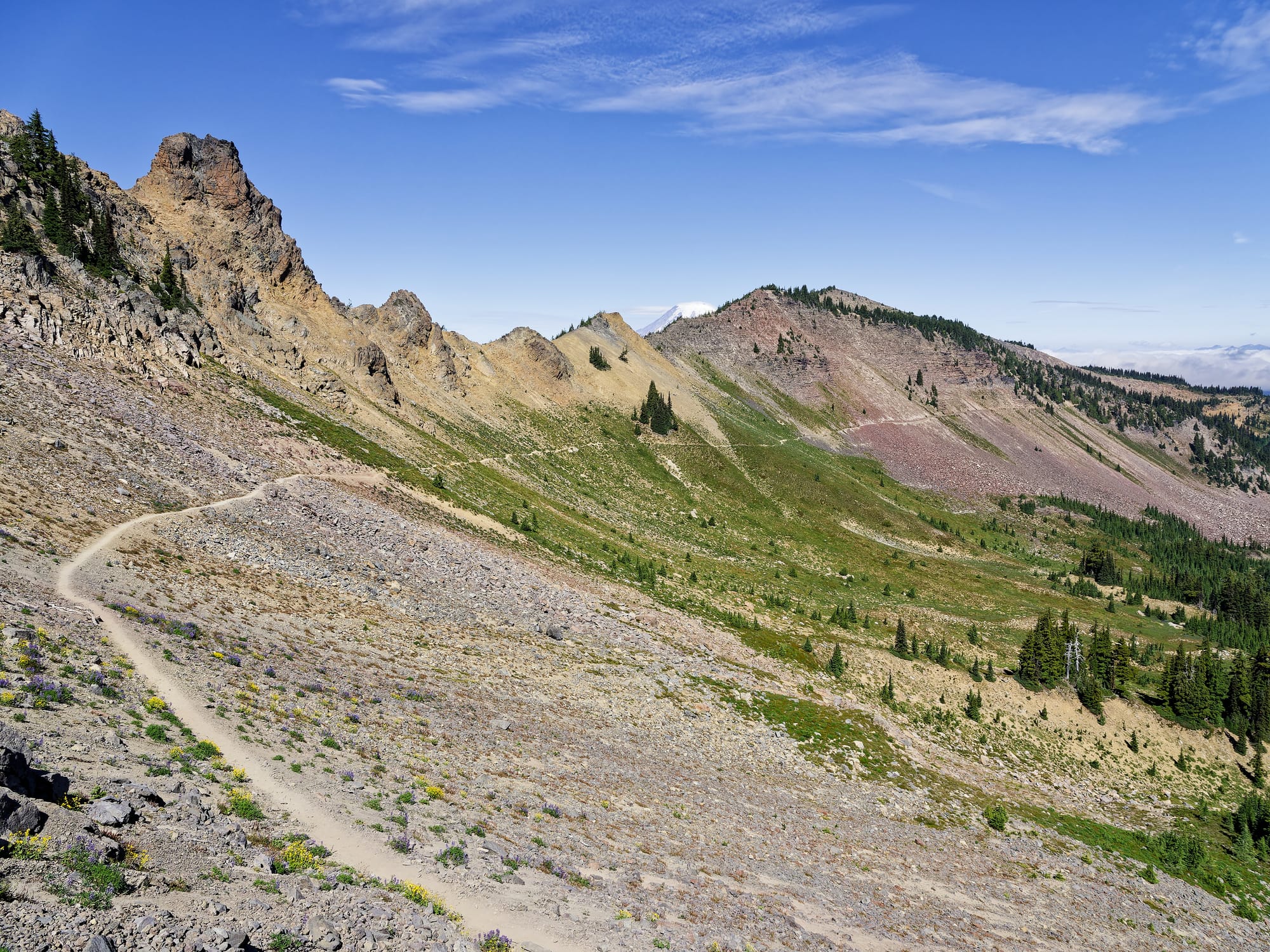 PCT Washington