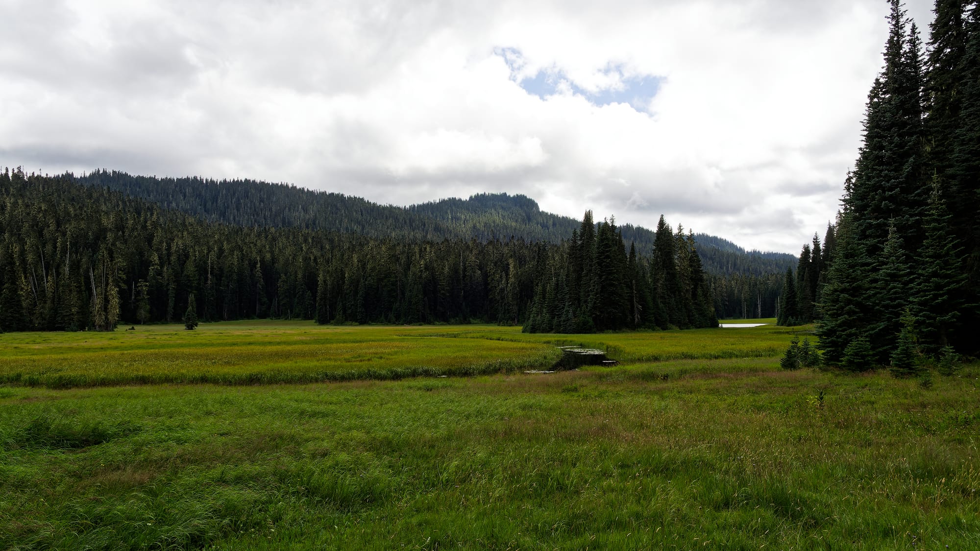 PCT Washington
