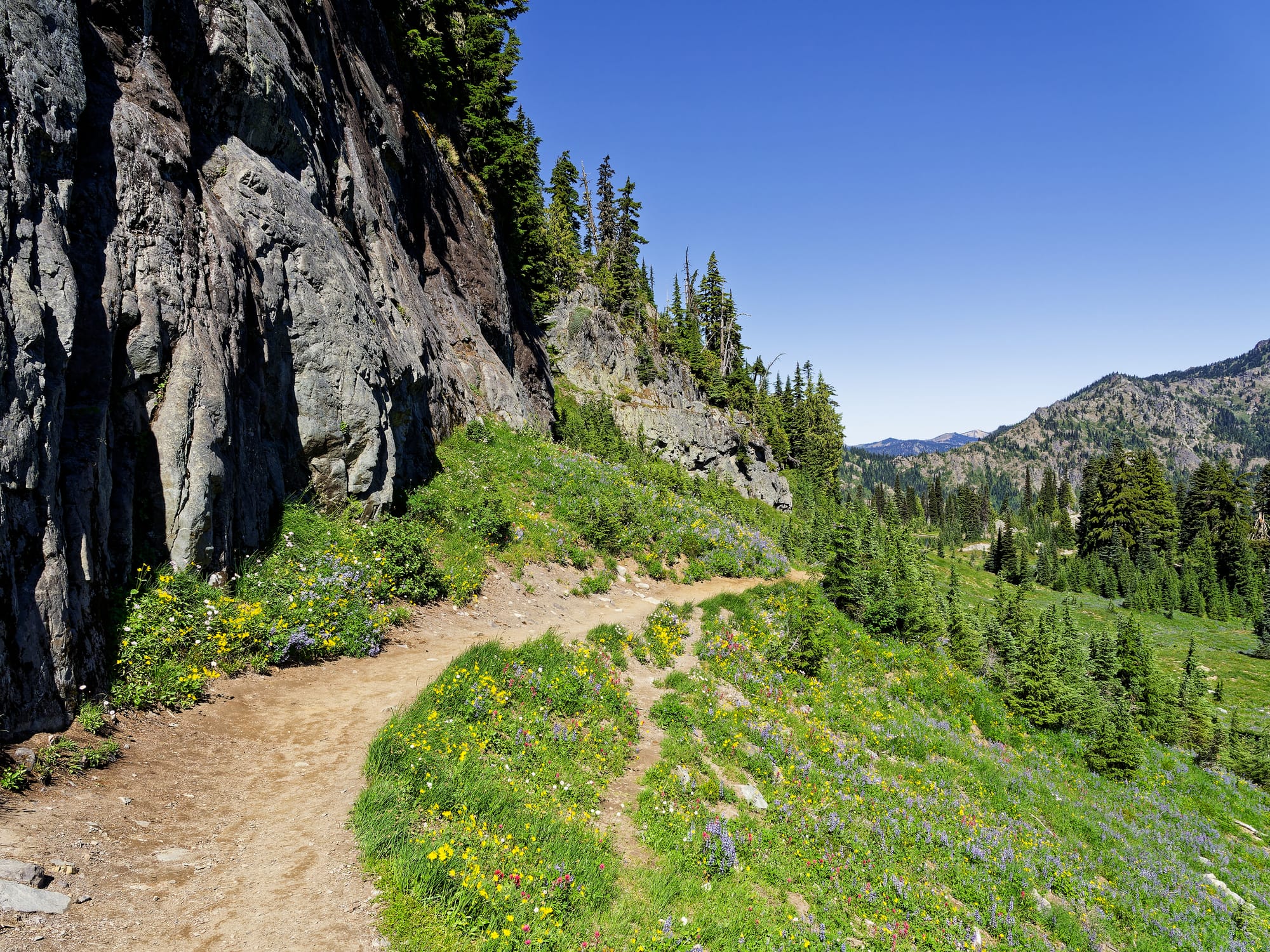 PCT Washington