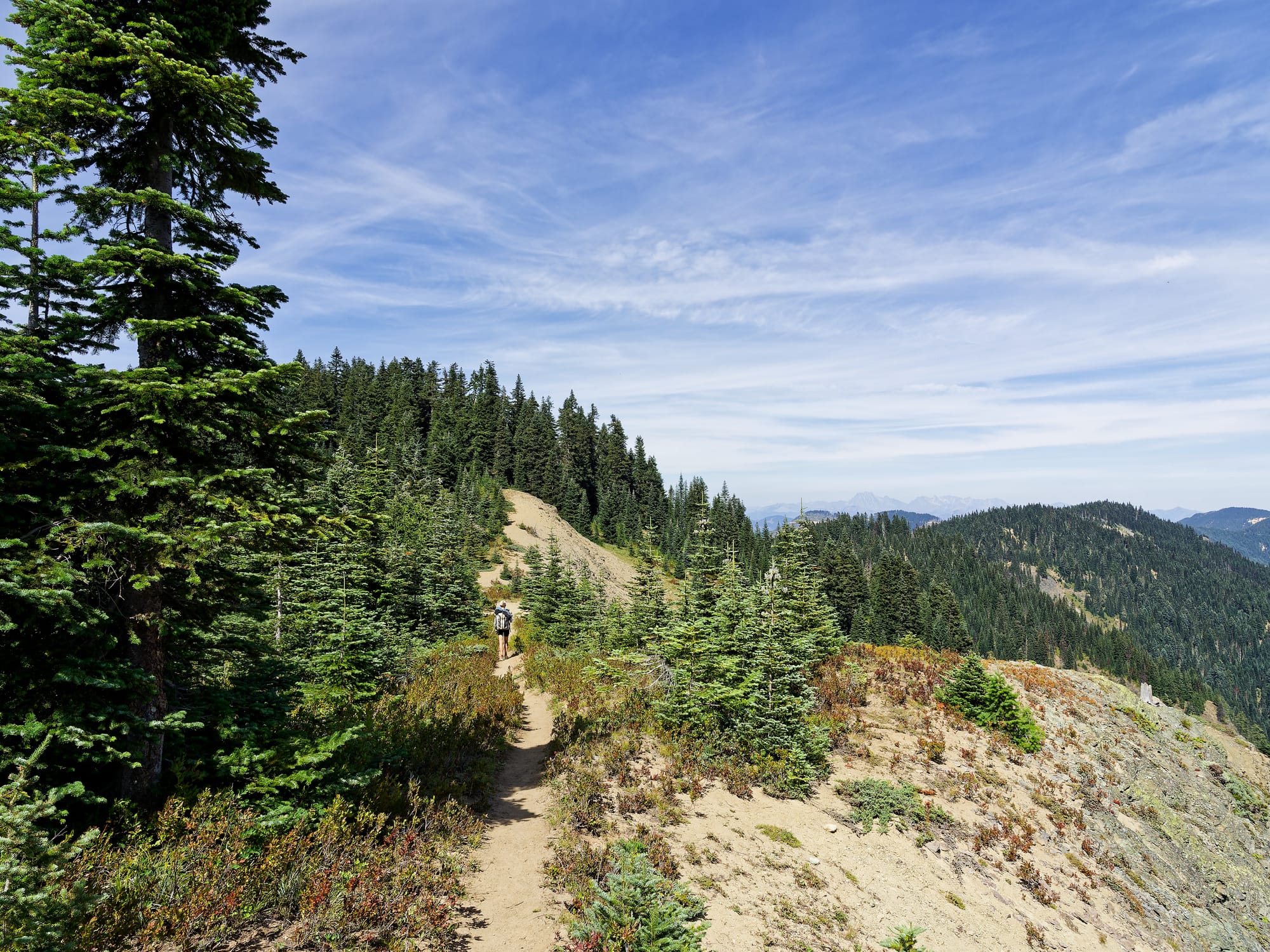 PCT Washington