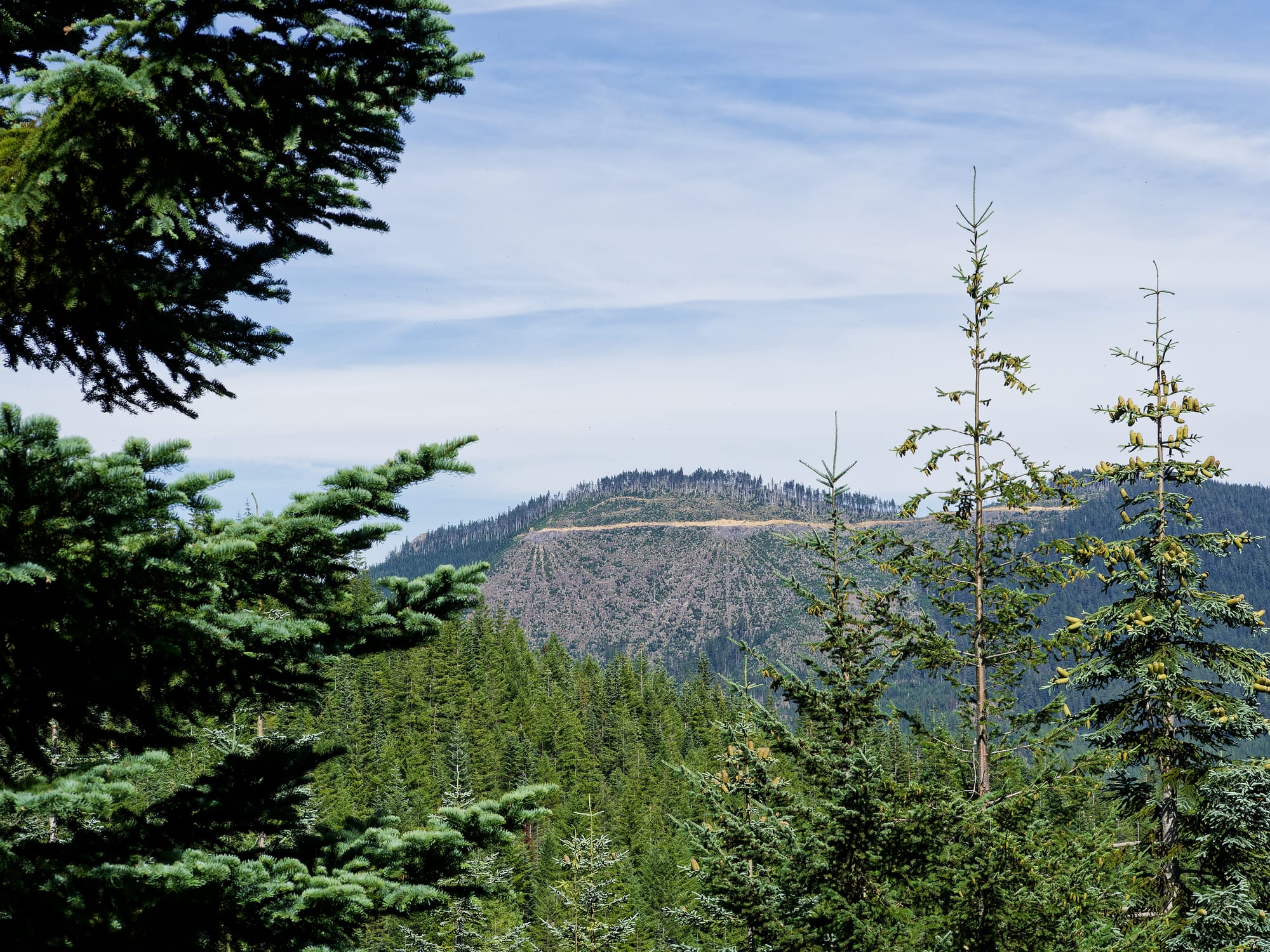 PCT Washington