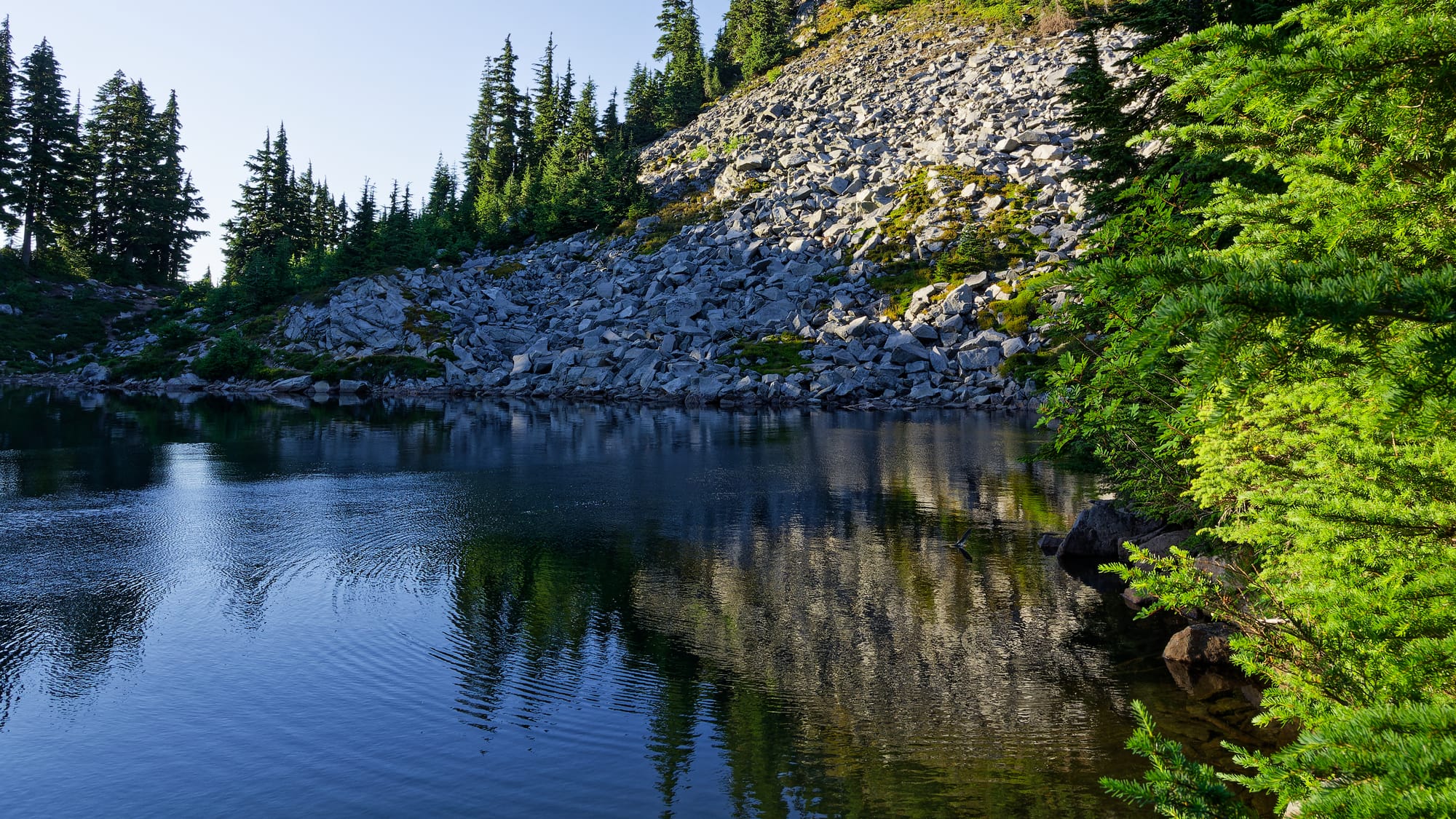 PCT Washington