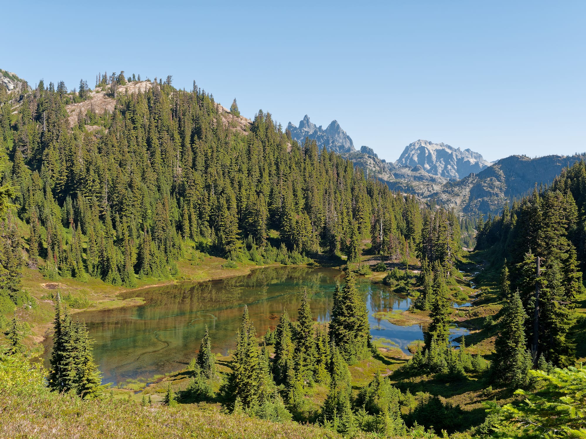 PCT Washington