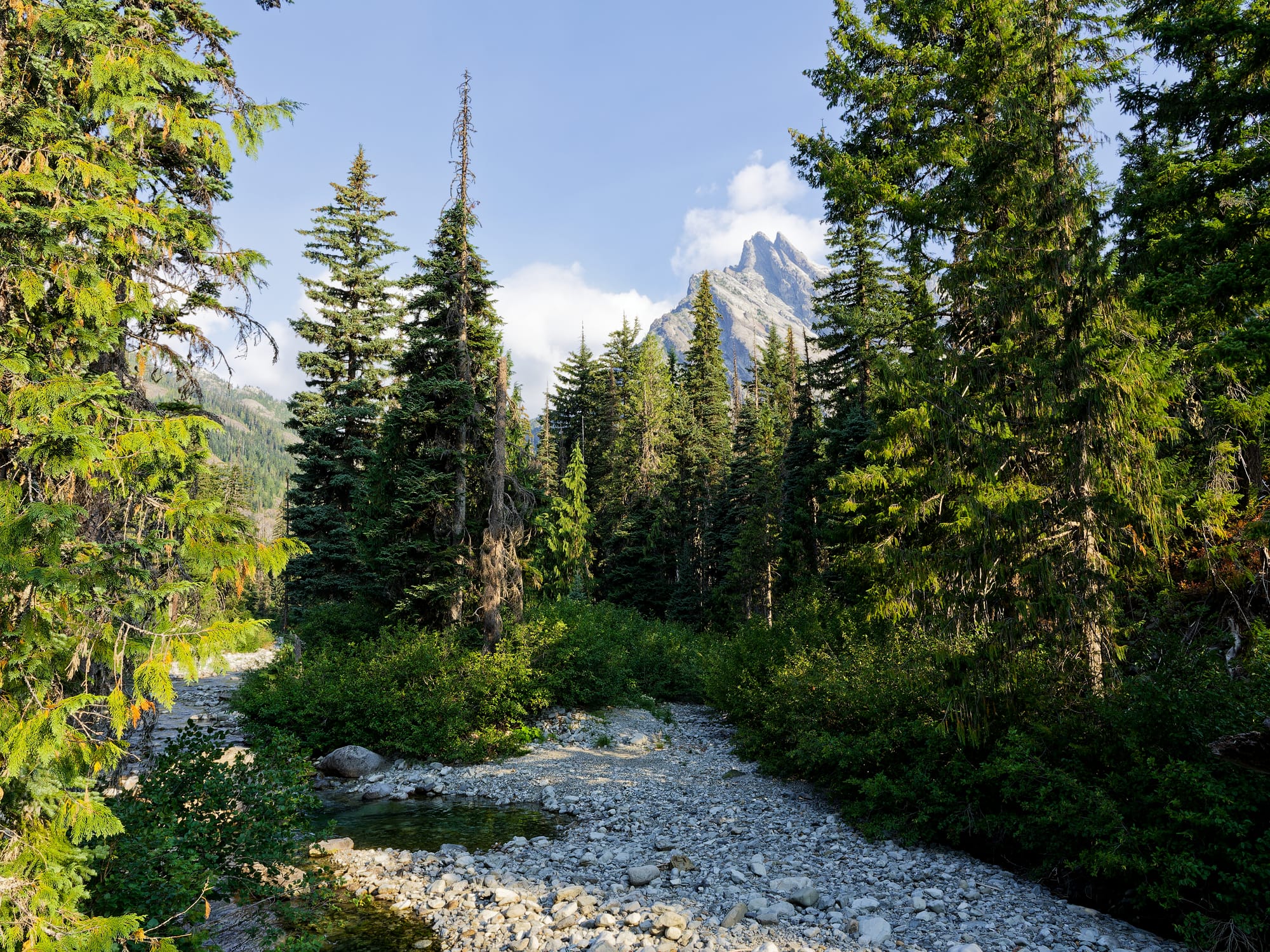PCT Washington