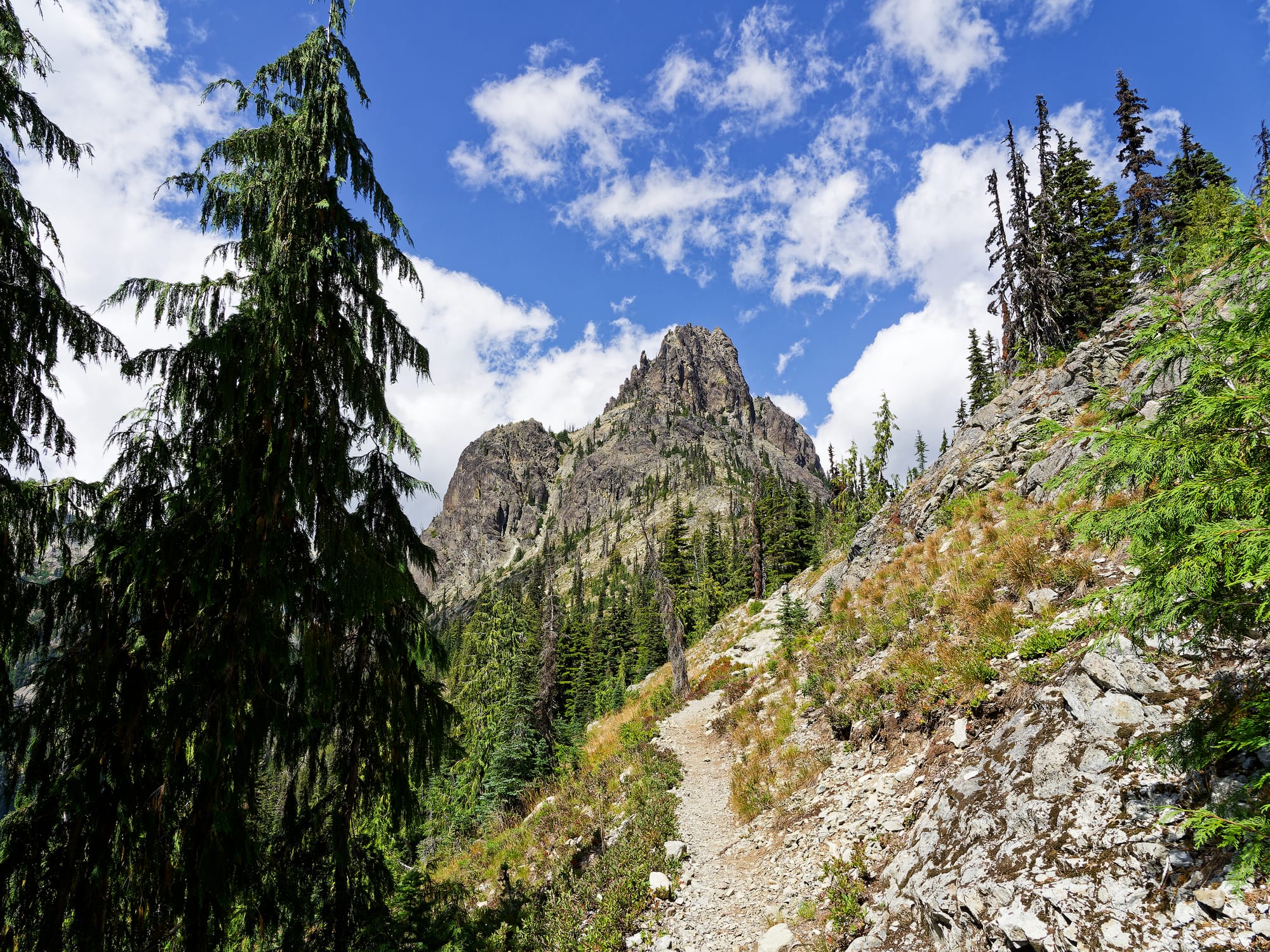 PCT Washington