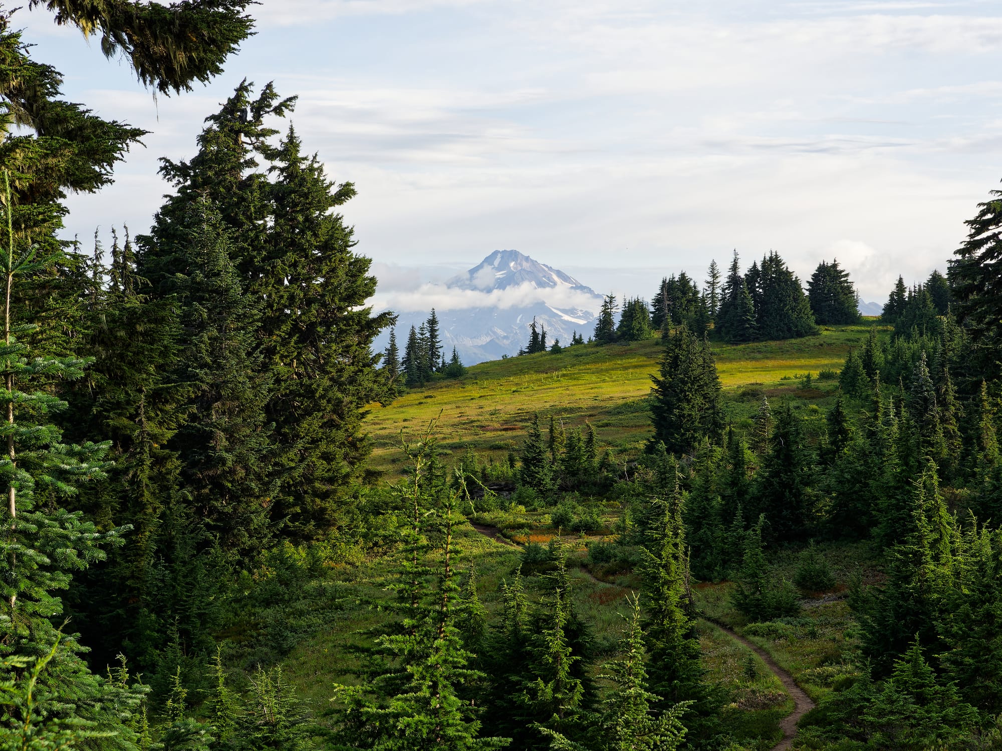 PCT Washington