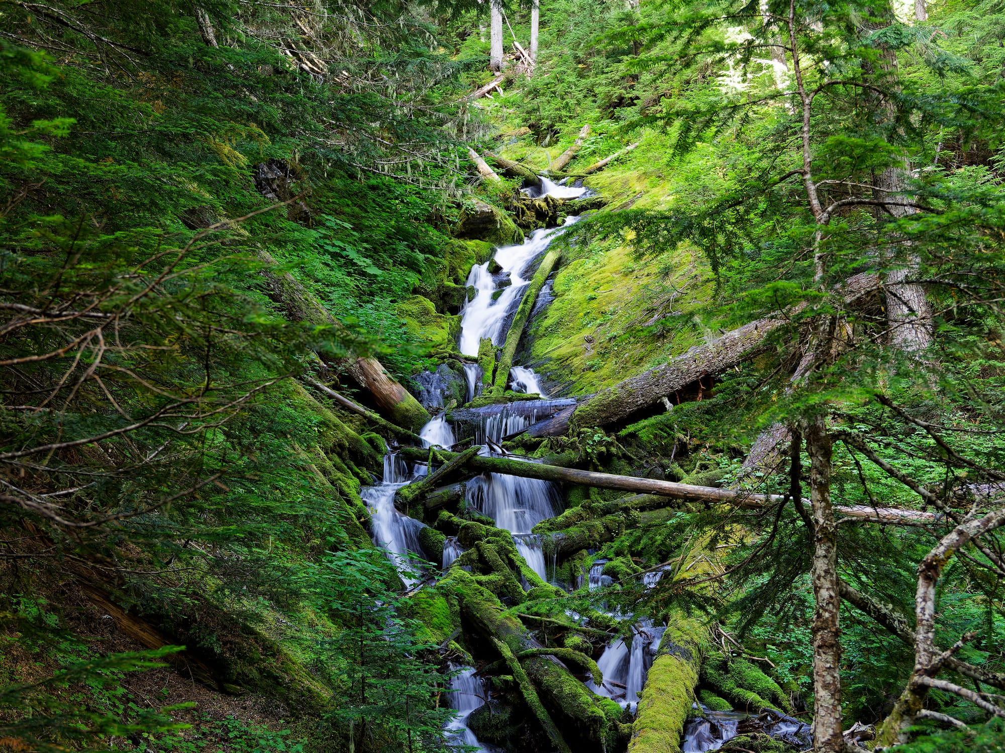 PCT Washington