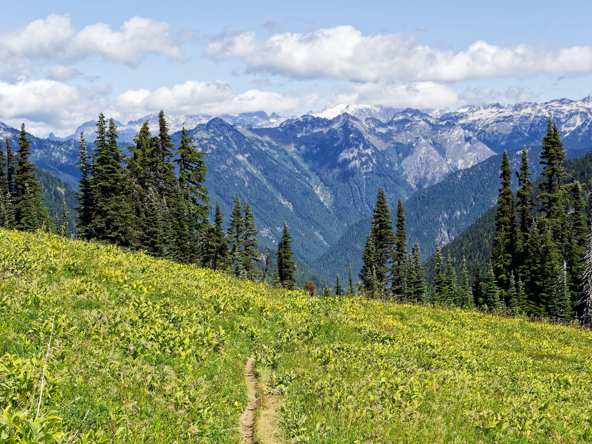 PCT Washington