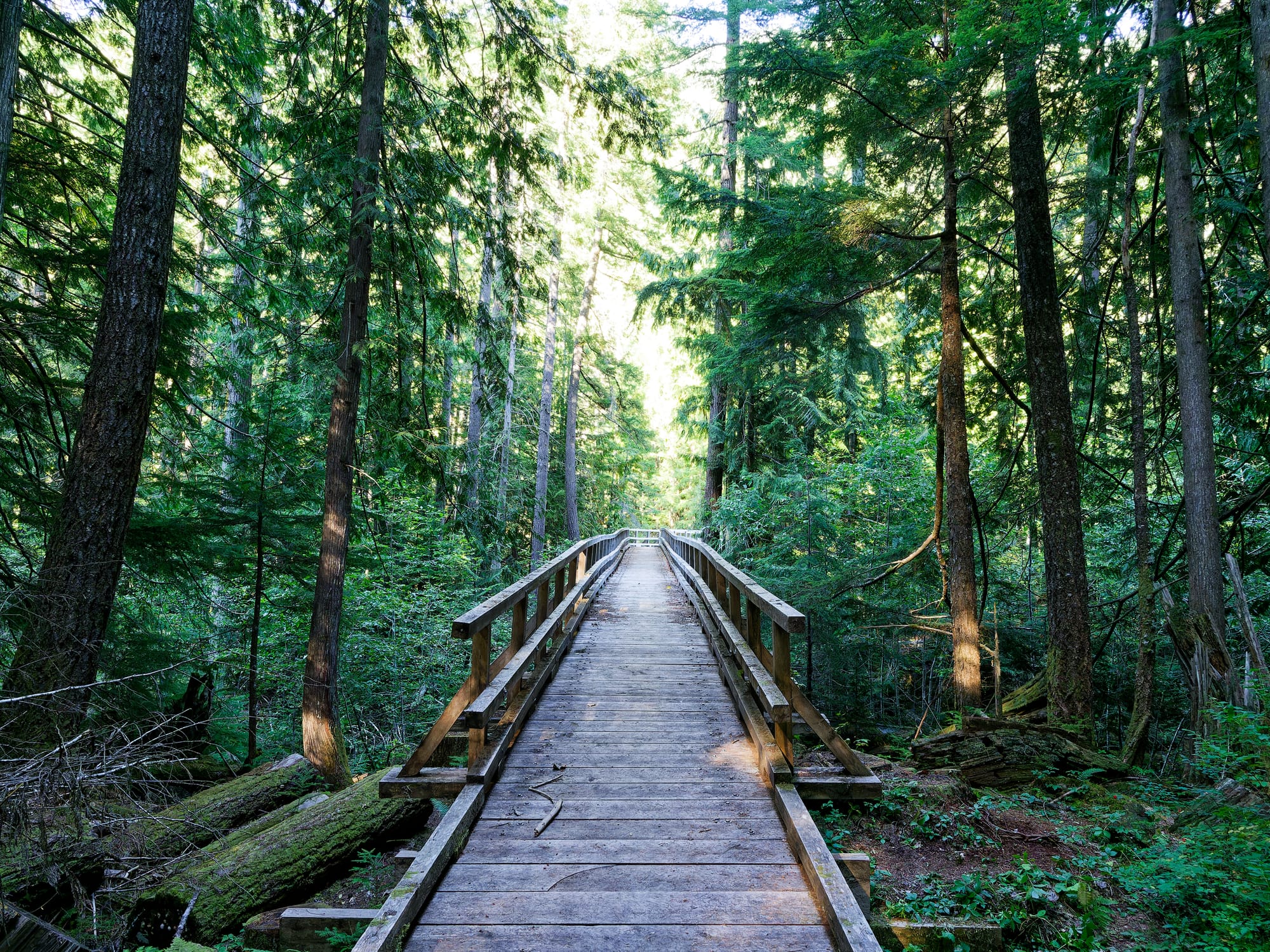 PCT Washington