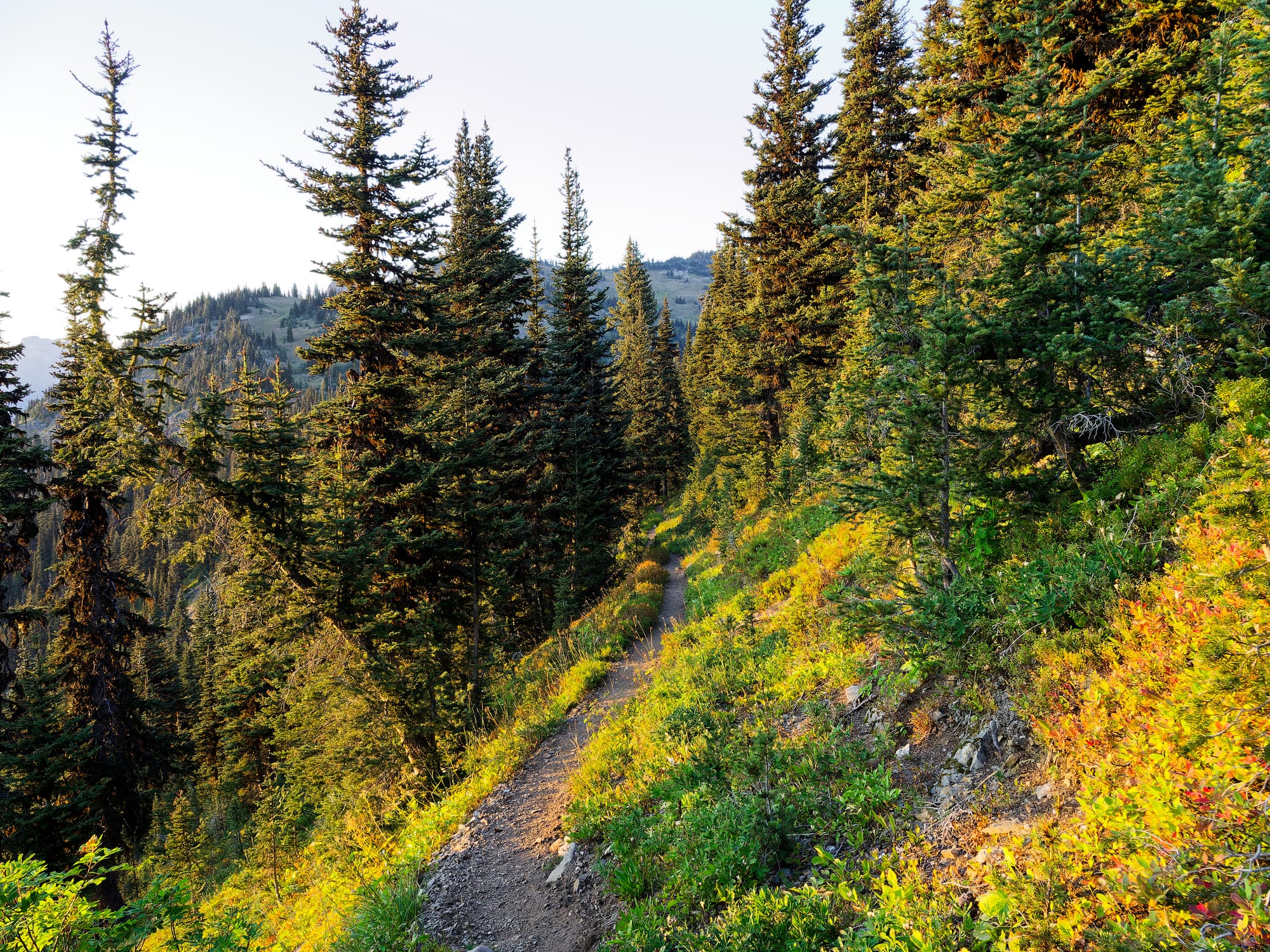 PCT Washington