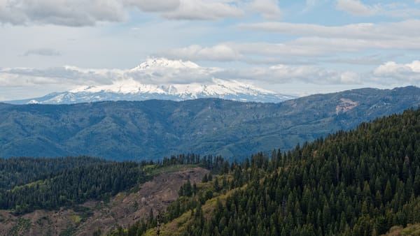 PCT Northern California
